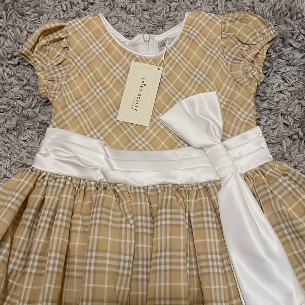 Nwt Trish Scully Ilsa Dress, Size 6 — image 2 of 6